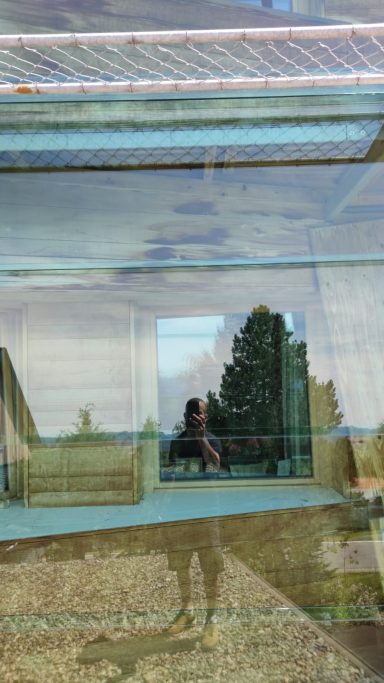 Glasreinigung Reflexion einer Person vor einem Gebäude mit Fenster und Bäumen im Hintergrund.